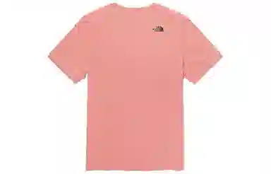 THE NORTH FACE SS22 LogoT