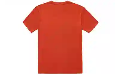 Champion T