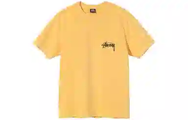Stussy Painter Dyed Tee T