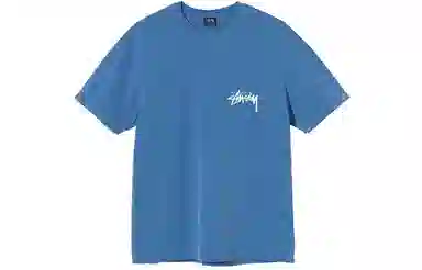Stussy Painter Dyed Tee T