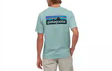 patagonia P-6Logo Responsibili LogoT