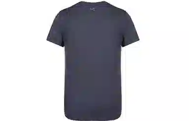 Arcteryx T