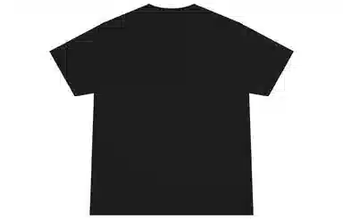 Dickies SS22 logoT