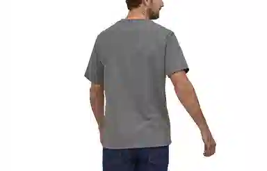 patagonia T