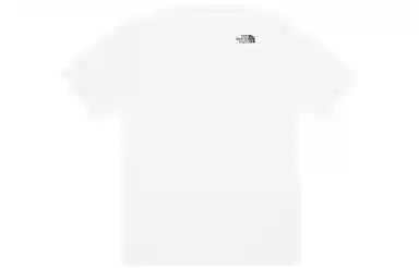 THE NORTH FACE logoT