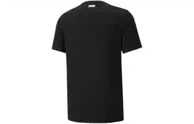 Puma Dylan T
