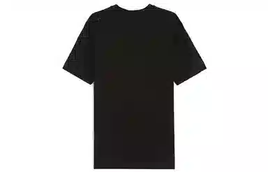 Champion T