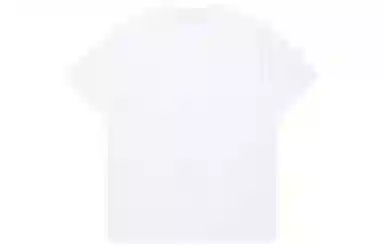 Champion Basic CT