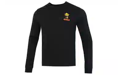 Nike Lebron Sfg T