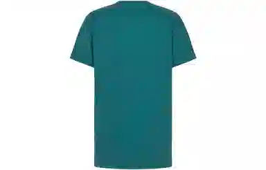 DIOR T