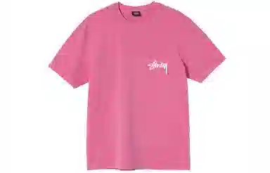 Stussy Painter Dyed Tee T