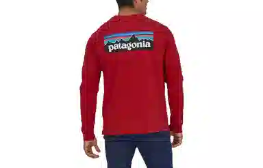 Patagonia P-6 Responsibili Tee