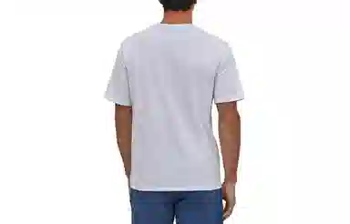 patagonia T