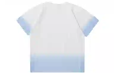 Champion Reverse Weave CT