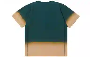 Champion Reverse Weave CT