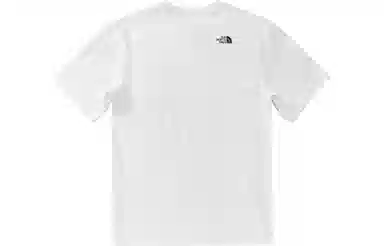 THE NORTH FACE SS22 LogoT