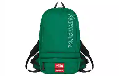 Supreme x The North Face