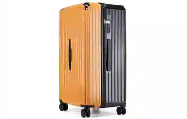 PAUL FRANK ins ABS+PC 2426322830