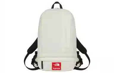 Supreme x The North Face