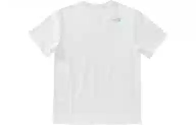 THE NORTH FACE SS22 LogoT