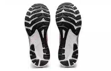 Asics GEL-KAYANO 29