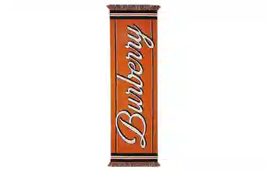 Burberry Scarf Orange