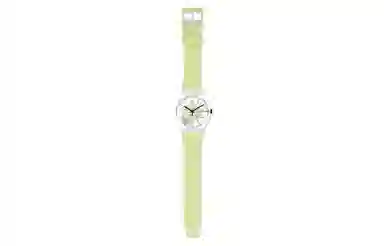 SWATCH SO29K106