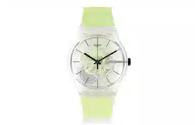 SWATCH SO29K106