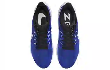 Nike Air Zoom Pegasus 39