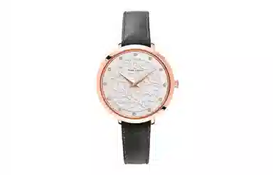 PierreLannier 041K609
