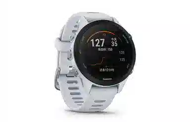 GARMIN Forerunner255S 010-02641-76X