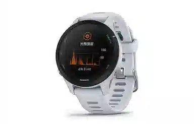 GARMIN Forerunner255S 010-02641-76X