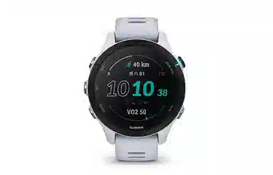 GARMIN Forerunner255S 010-02641-76X