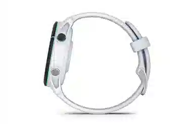 GARMIN Forerunner255S 010-02641-76X