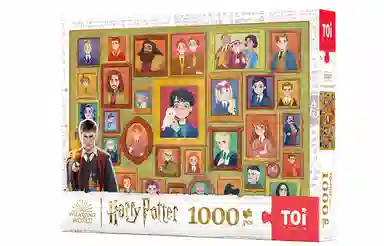 TOI 1000pcs