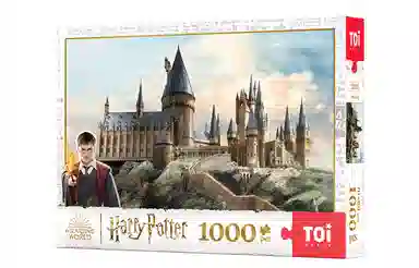 TOI 1000pcs