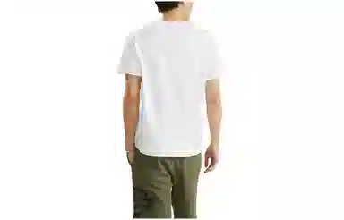 Dickies logoT
