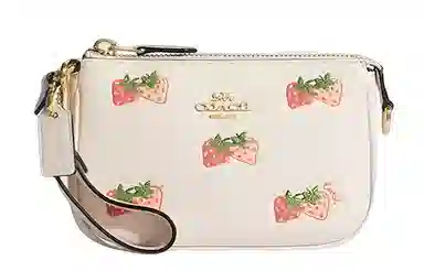 COACH Nolita 15