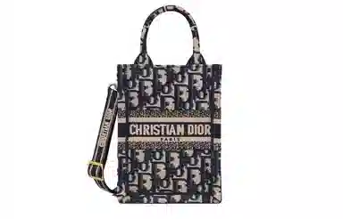 Dior Book Tote Mini Blue