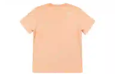 THE NORTH FACE SS22 T