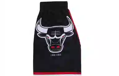 Mitchell Ness Logo SW