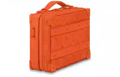 Louis Vuitton Handle Soft Trunk