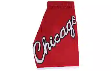 Mitchell Ness Logo SW