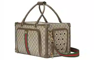 Gucci Pet Carrier Bag