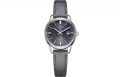 CITIZEN EW2660-14X