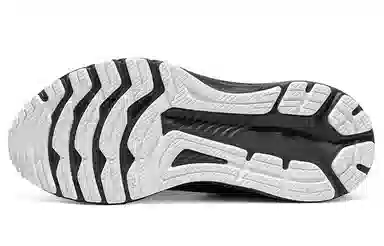 Asics GT-2000 10