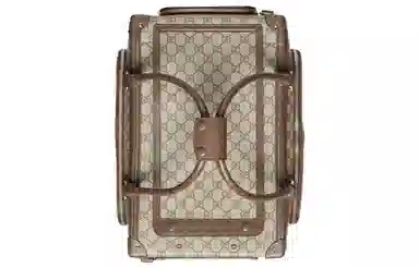 Gucci Pet Carrier Bag