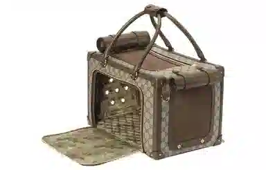 Gucci Pet Carrier Bag