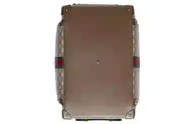 Gucci Pet Carrier Bag