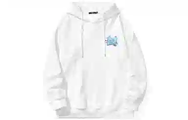 bt Hoodie